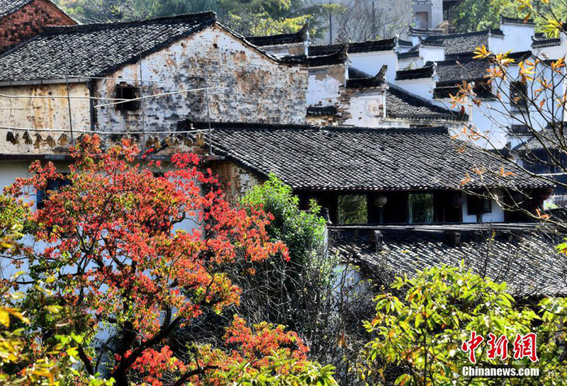 Осень в деревне Хуанлин провинции Цзянси