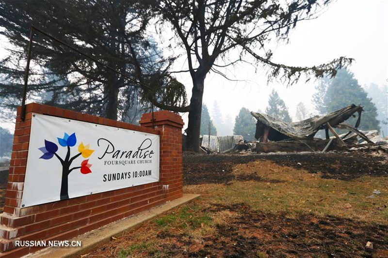 Число жертв лесного пожара в Калифорнии достигло 56 человек