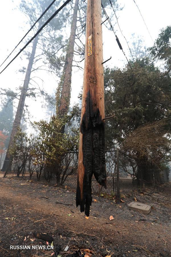 Число жертв лесного пожара в Калифорнии достигло 56 человек