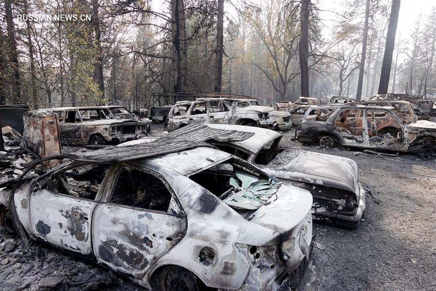 Число жертв лесного пожара в Калифорнии достигло 79 человек