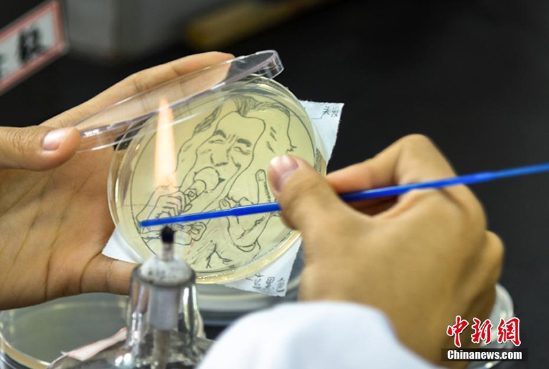 В Нанкине студенты нарисовали картинки бактериями в вегетационных сосудах