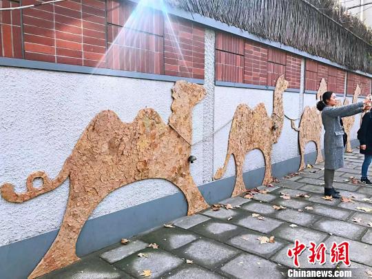 Произведения искусства из опавших листьевна улице Шанхая