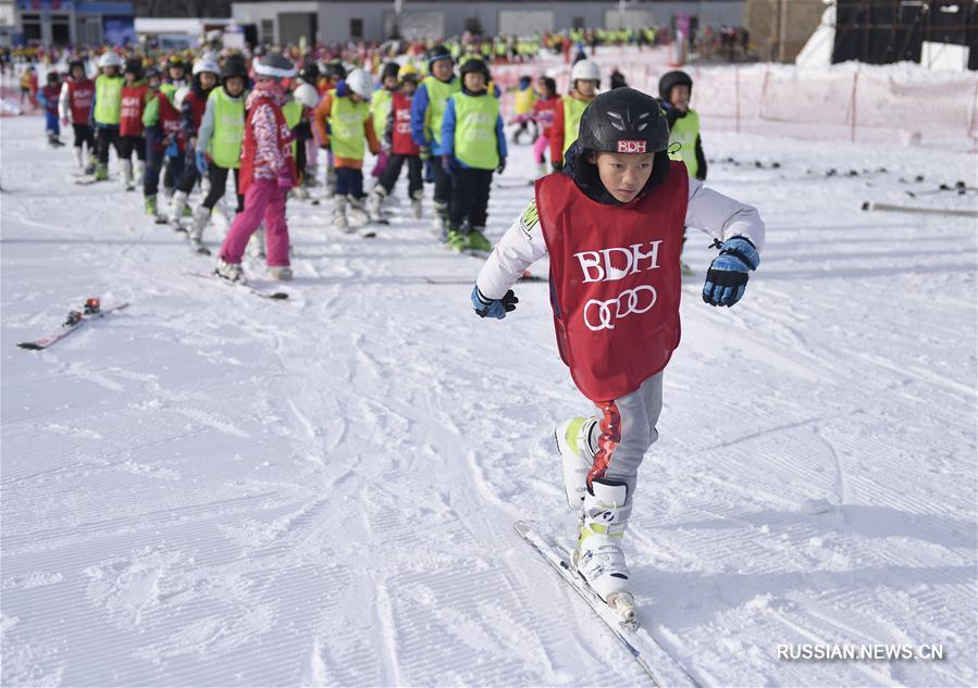 Провинция Цзилинь реализует программу "Миллион учащихся занимаются зимними видами спорта"