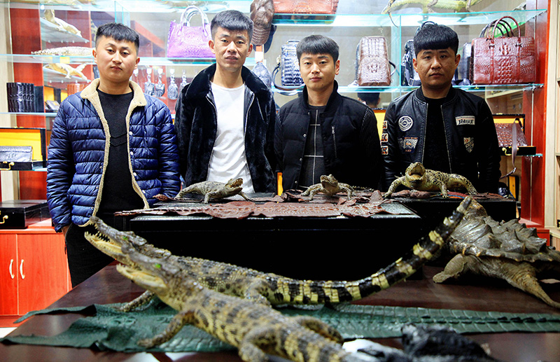 Китаец стал знаменитым в интернете благодаря работе по разведению крокодилов