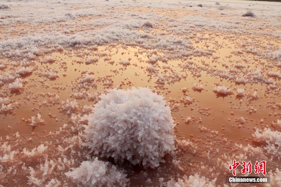 Соленое озеро на Севере Китая покрылось кристаллическими цветами