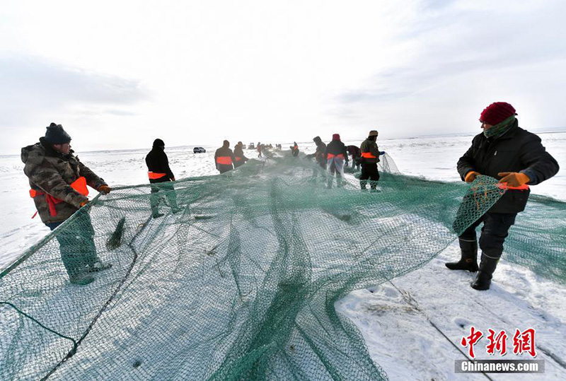 Зимняя ловля рыбы неводом на озере Урунгу