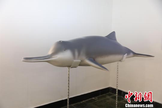 В Ухане представлена копия первого в мире жившего в искусственных условиях китайского речного дельфина