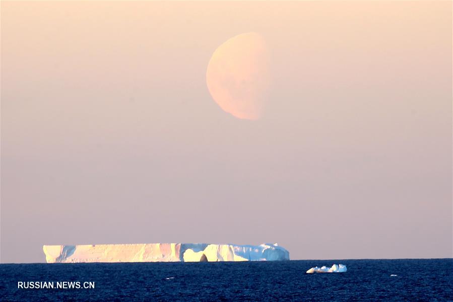 Окрестности китайской полярной станции "Чжуншань" в Антарктиде