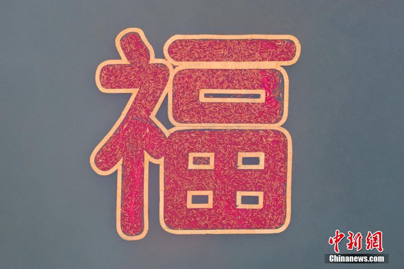 Китайские сельчане собрали иероглиф «счастья» из 6666 красных карпов