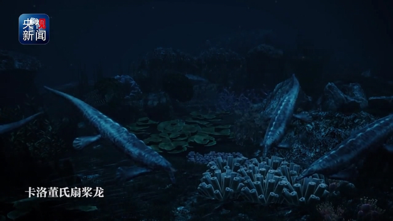 В Китае найдены окаменелости морской рептилии возрастом 248 млн лет