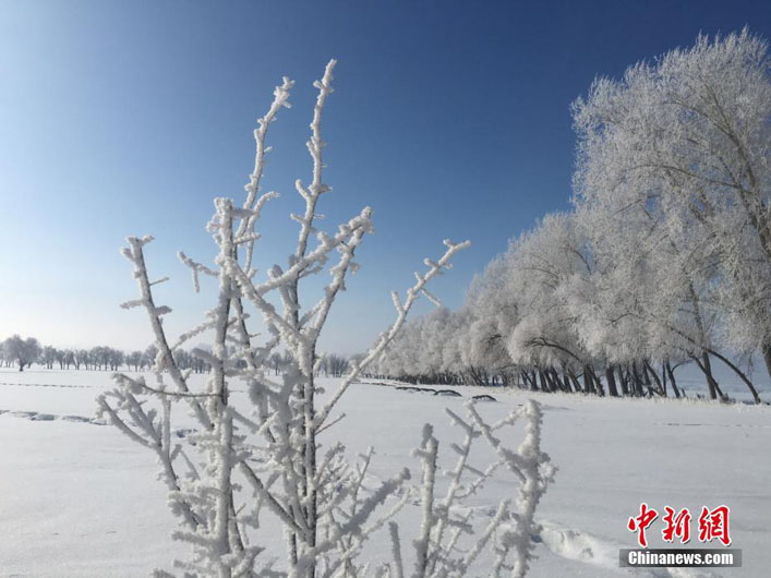 Красивая изморозь в Синьцзяне