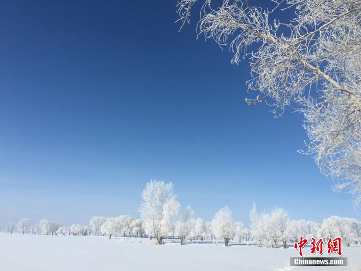 Красивая изморозь в Синьцзяне