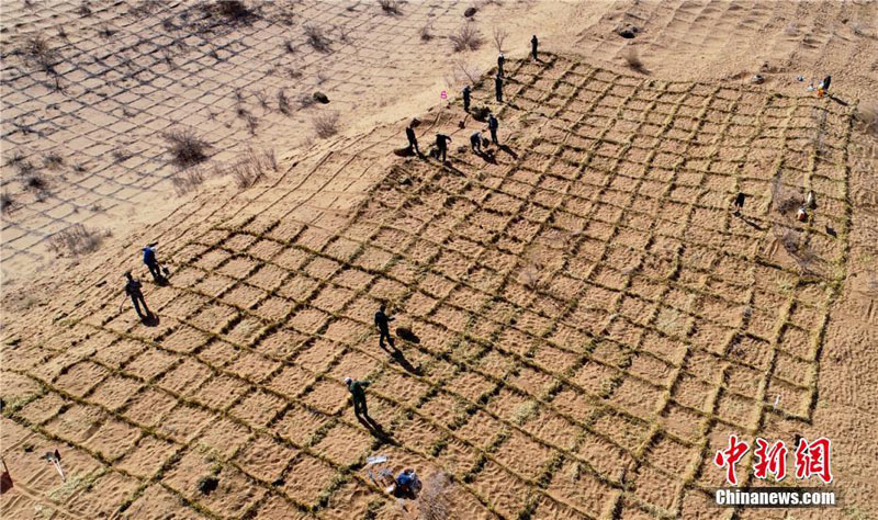 В Северо-Западном Китае возводят барьер для защиты от опустынивания