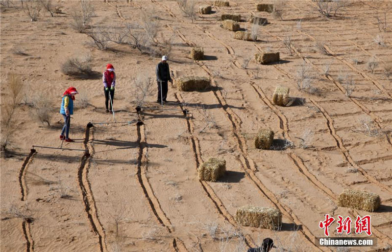 В Северо-Западном Китае возводят барьер для защиты от опустынивания