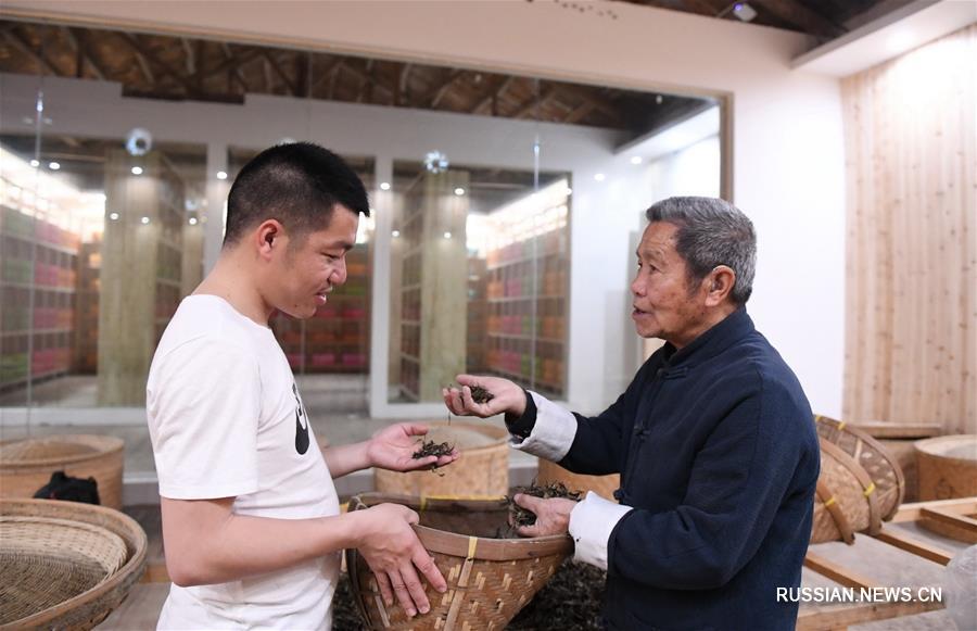 Наследник традиций чайного производства из провинции Фуцзянь