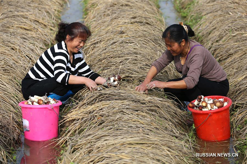 Весенние сельхозработы в Китае