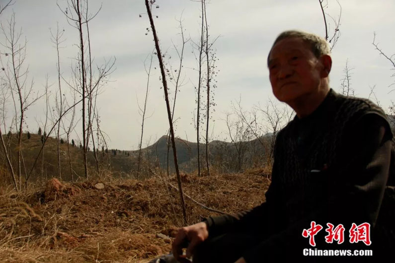 Китайский безногий ветеран посадил 17 тыс. деревьев за 18 лет
