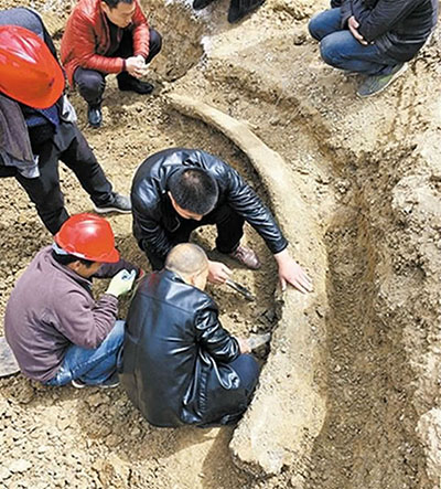 В центре Китае раскопали окаменелую слоновую кость возрастом 100 тыс. лет
