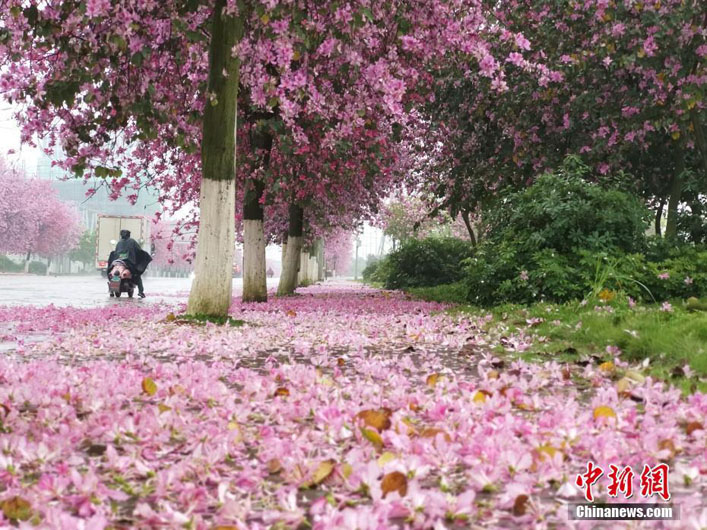 Весенний пейзаж в горах Саньциншань