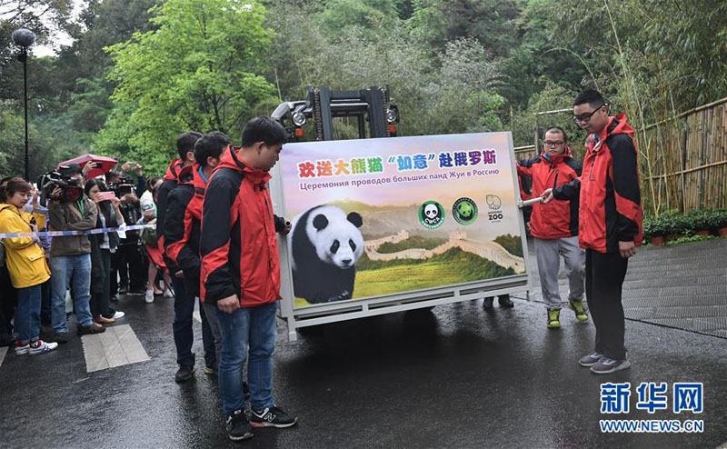 Две большие панды отправляются из Китая в Москву