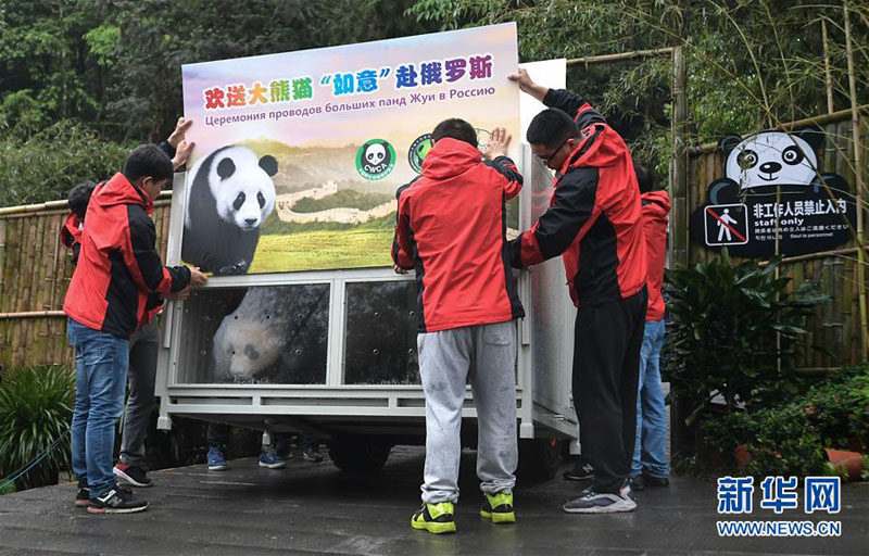 Две большие панды отправляются из Китая в Москву