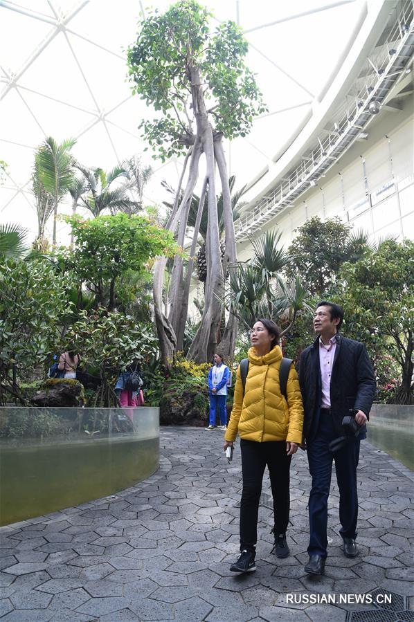 В Пекине начала работу Международная садоводческая выставка