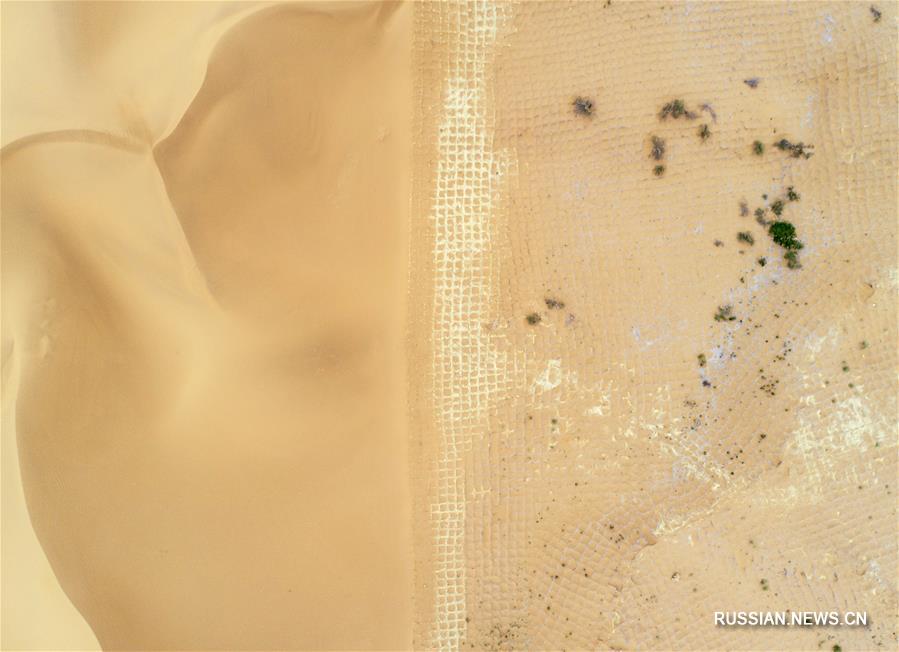 Успешная борьба с опустыниванием при помощи "соломенной сетки" в Нинся-Хуэйском АР