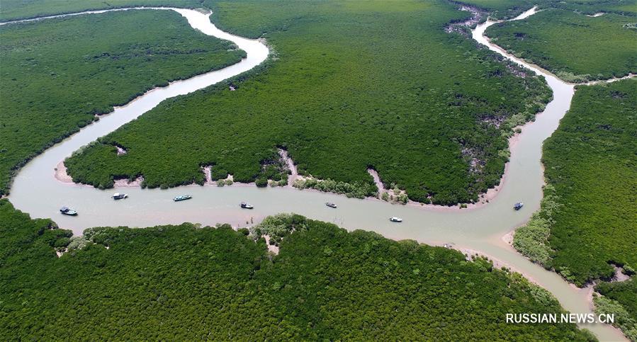 Зеленый Китай -- Остров Хайнань, жемчужина южных морей