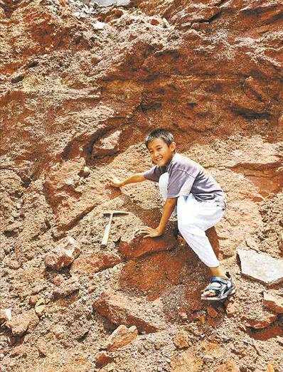 На Юге Китая обнаружили 11 окаменелых яиц динозавров возрастом 66 млн лет 