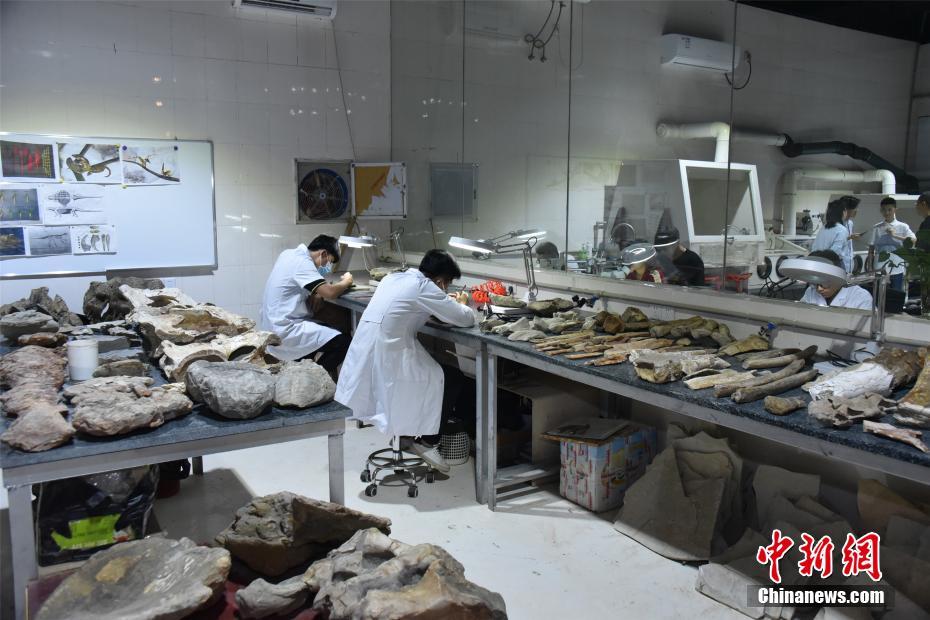 В провинции Цзянси обнаружили первый в Азии отпечаток ноги тираннозавра
