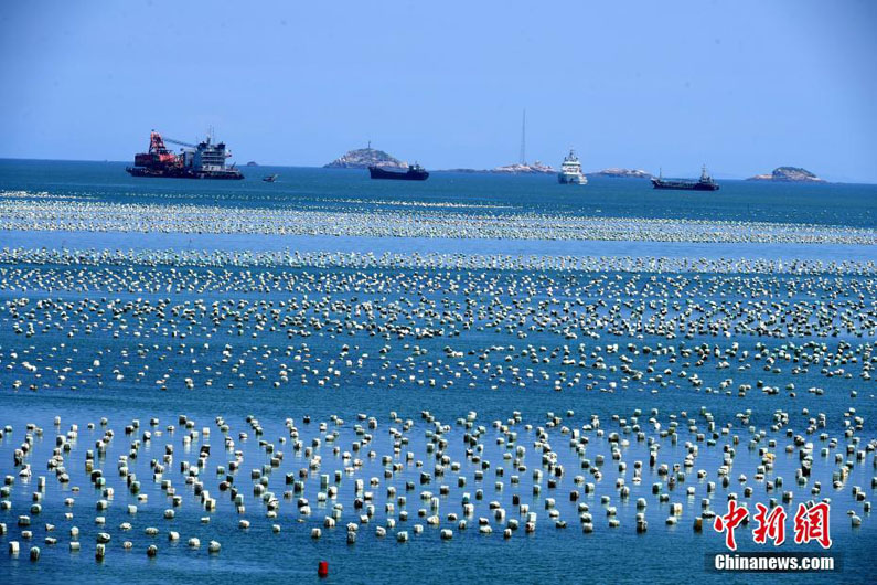 “Морское пастбище” в Юго-Восточном Китае