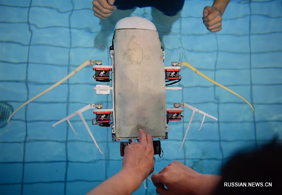 Ученые из Сианя создали подводного бионического робота в форме гигантского ската