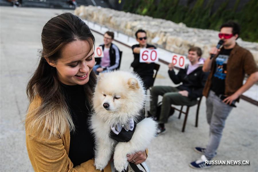Праздник собачьей моды в Москве
