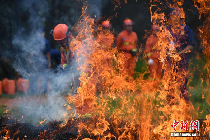 В Юго-Западном Китае проходит конкурс лесных пожарных