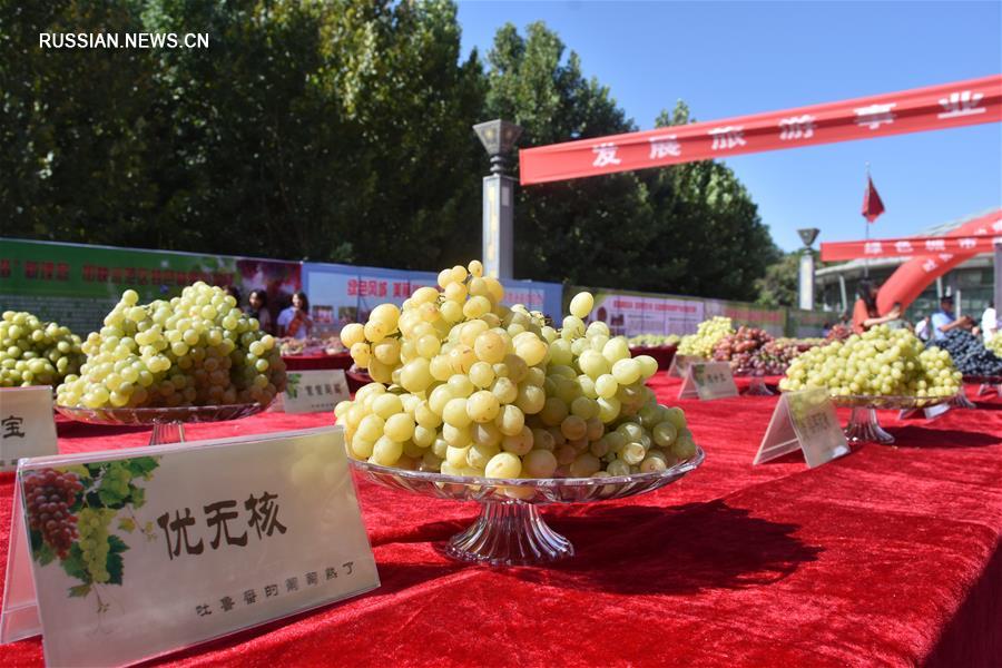 Турфан СУАР празднует ежегодный фестиваль винограда