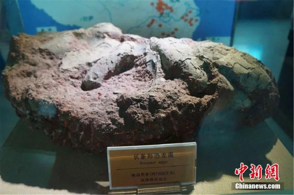 Китайский город Хэюань славится многочисленными окаменевшими яйцами динозавров