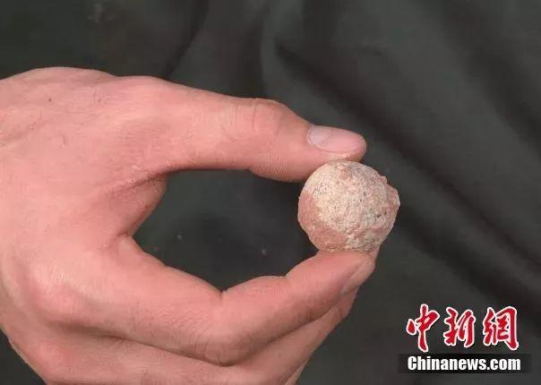 Китайский город Хэюань славится многочисленными окаменевшими яйцами динозавров