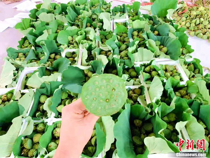 Китаянка зарабатывает на выращивании лотоса