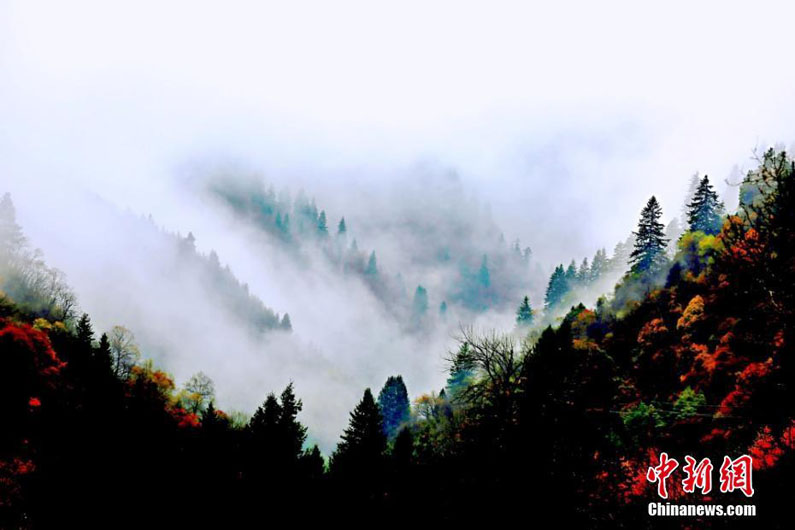 Осенний пейзаж уезда Данчан в Северо-Западном Китае