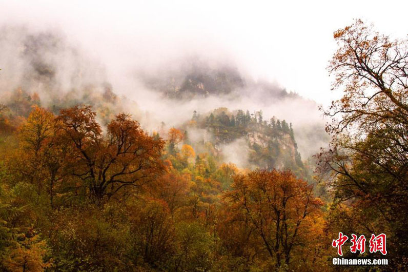 Осенний пейзаж уезда Данчан в Северо-Западном Китае