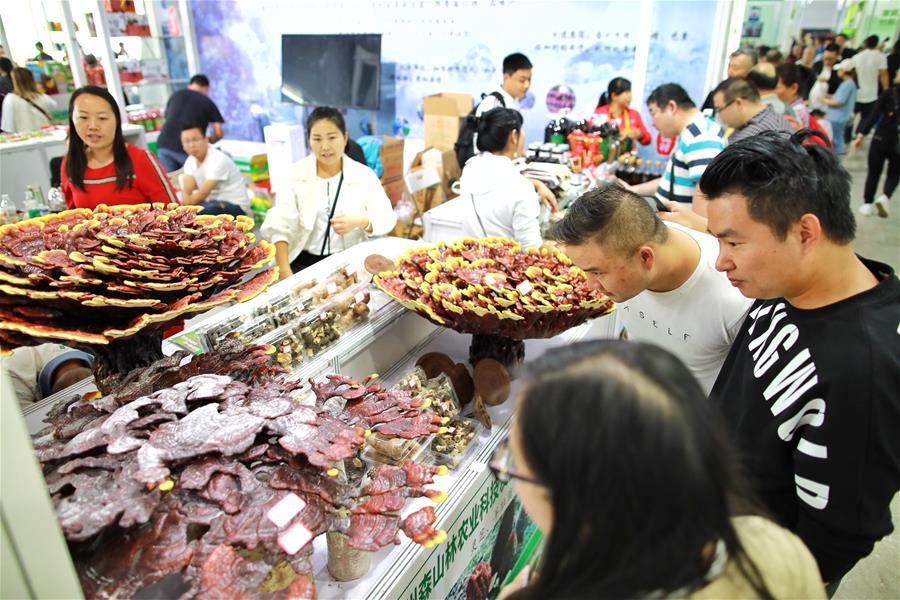 Ярмарка деликатесов со всего мира открылась в Гуйяне