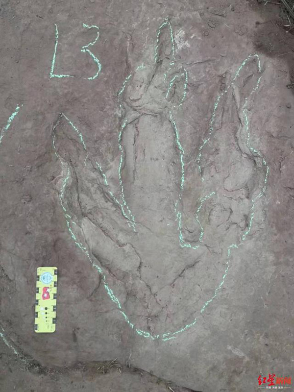 Следы крупных динозавров обнаружены в провинции Сычуань Китая