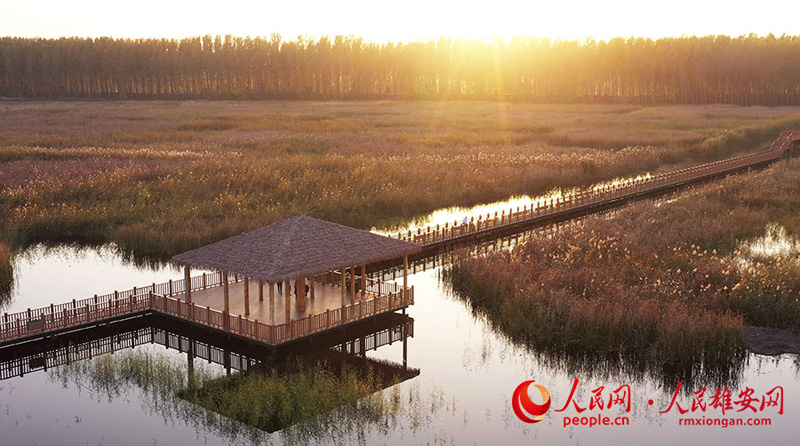 Самые красивые осенние пейзажи нового района Сюнъань
