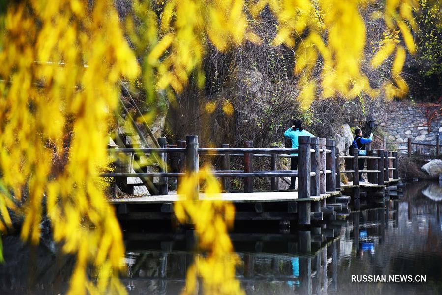 Разноцветные листья деревьев украшают китайский "город источников"
