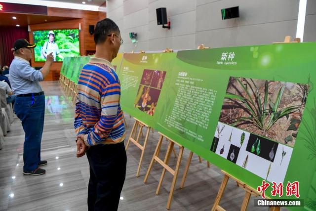 На юге Китая обнаружили 11 видов новых растений
