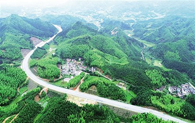 Степень покрытия лесами в Китае достигла 22.08%