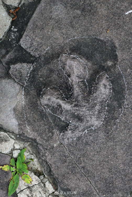 В парке Бишу Шаньчжуан города Чэндэ обнаружены следы динозавров