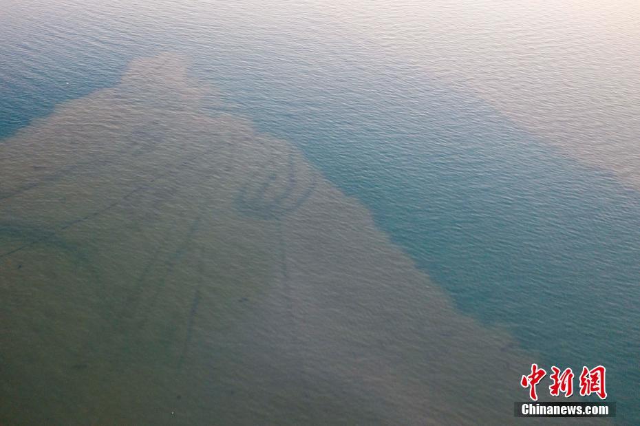 Вода в рыбацкой гавани в Китае приобрела два цвета
