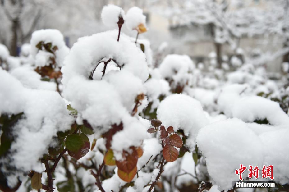 Самый большой снегопад c Нового года движется по Китаю
