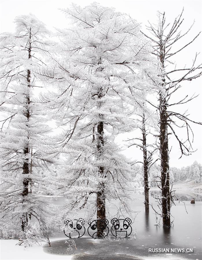 Снежный праздник в горах Ваушань в Сычуане